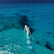 Flatten Out Your Fishing Trip